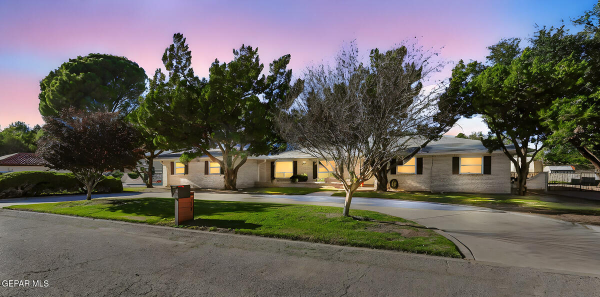 717 Live Oak